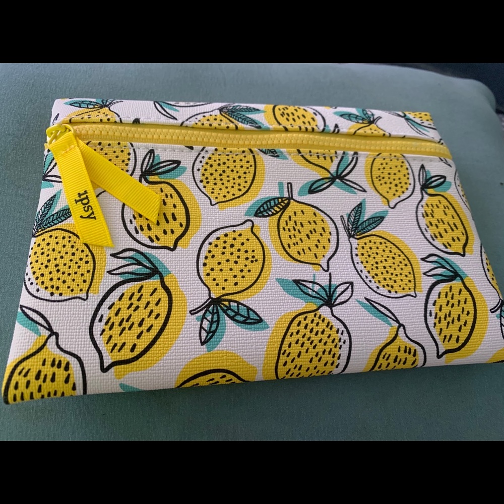 Ipsy make up bag